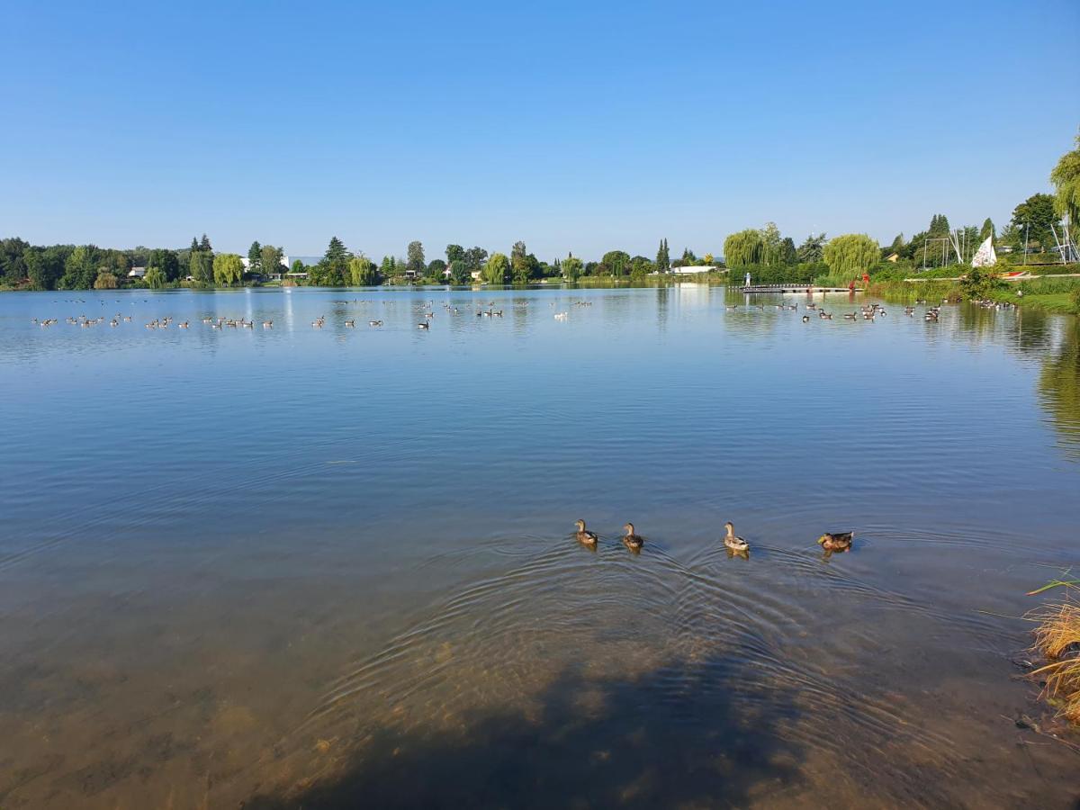 Ferienhaus Am See-2 Hungen Экстерьер фото