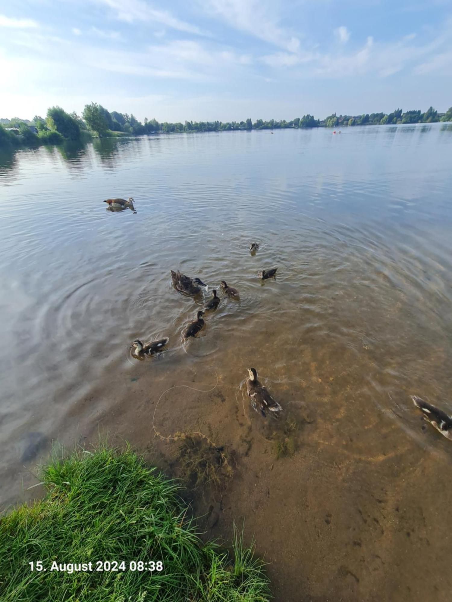 Ferienhaus Am See-2 Hungen Экстерьер фото
